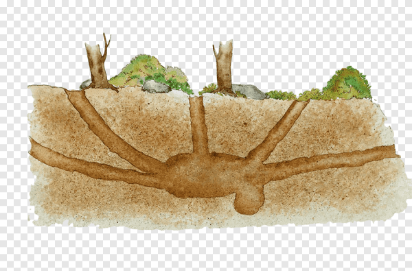 Стикеры ВК лиса Луна