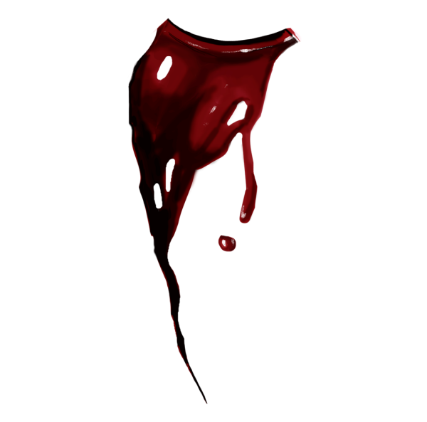 Капрал Леви носокровь