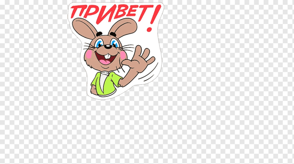 Привет заяц
