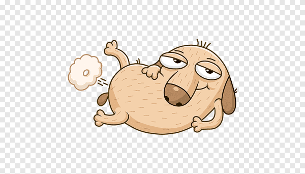 Собака пукает