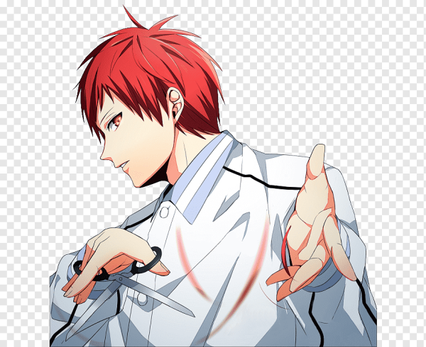 Акаши Сейджуро Чиби