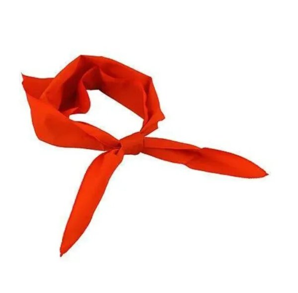 Пионерская символика Пионерия