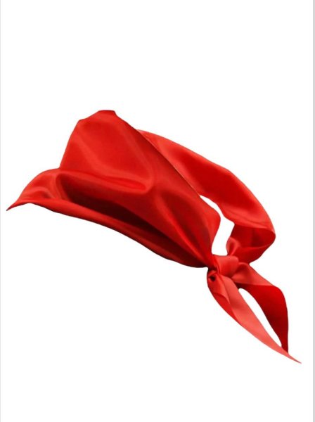 100 Лет пионерии