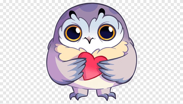 Сова фрилансер Стикеры