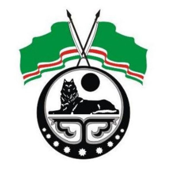 Флаг и герб Чечни Чечне
