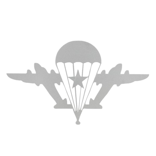 Символика ВДВ парашют