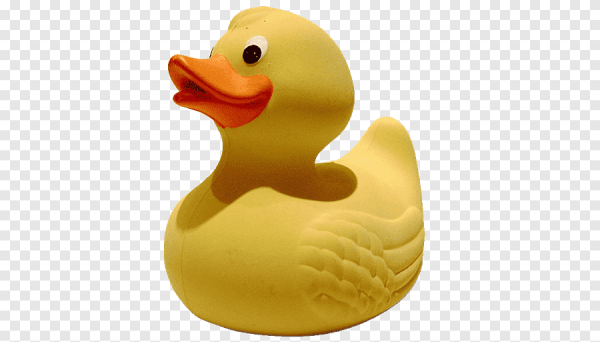 Смешная утка