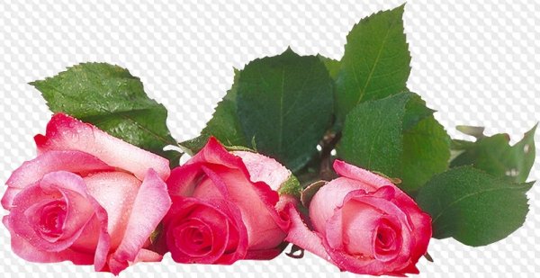 Благодарность цветы