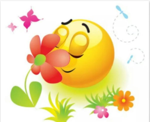 Смайлик природа