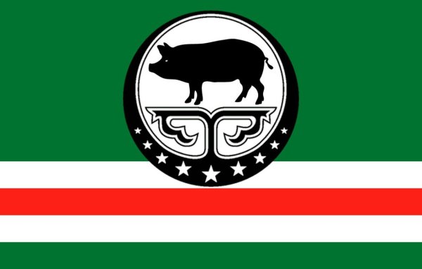 Флаг Чечни и Ичкерии