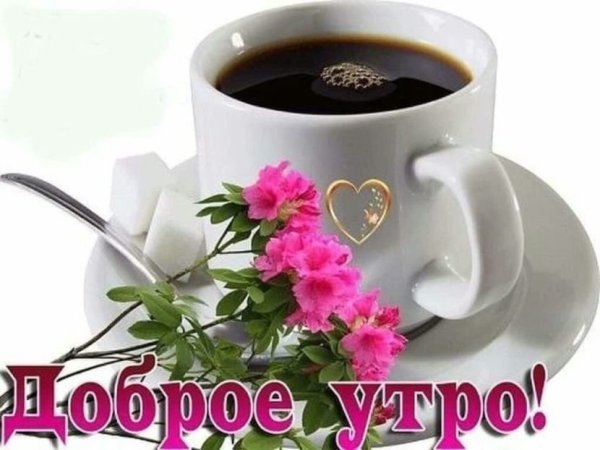 Хорошего дня на прозрачном фоне