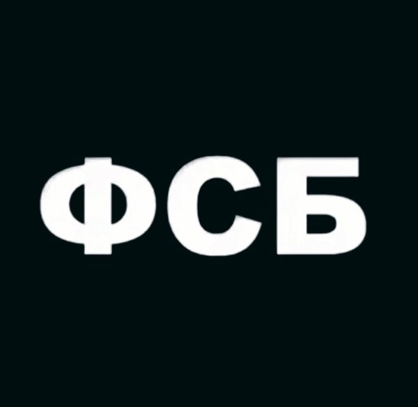 ФСБ наклейки 500x500