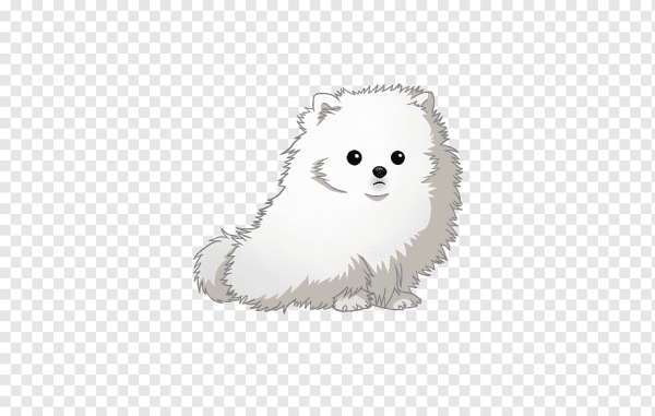 Померанский шпиц вектор