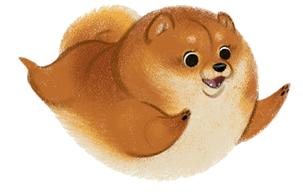 Мультяшные Шпицы