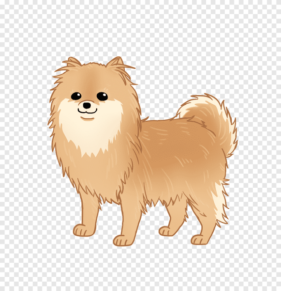 CARTOONIZEMYPET шпиц