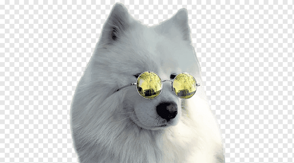 Стикер "собачка"