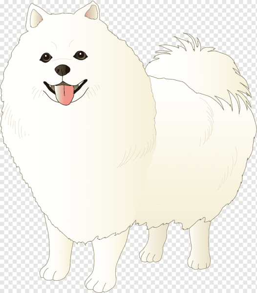 Померанский шпиц