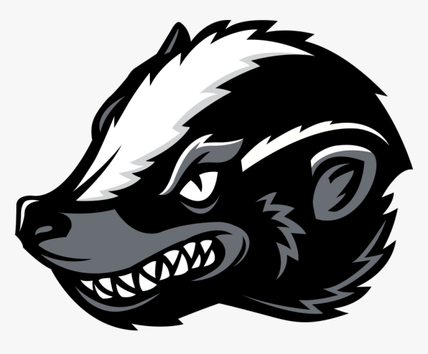 Наклейка медоед на авто