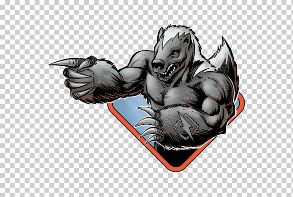 Барсук на белом фоне