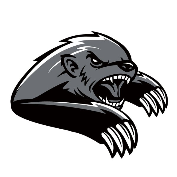 Барсук медоед тату