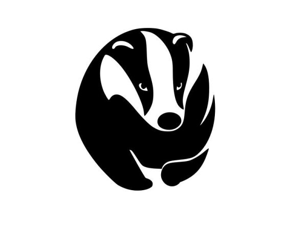 Honey Badger Стикеры телеграмм