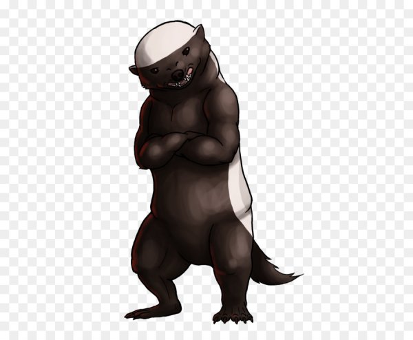 Медоед значки