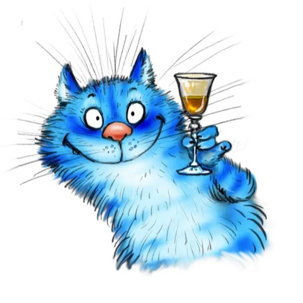 Стикеры космические котики