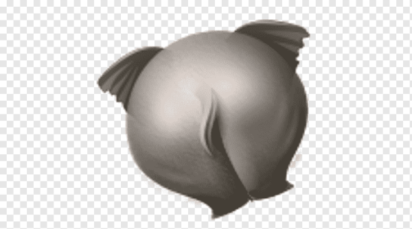 Ягодицы рисунок