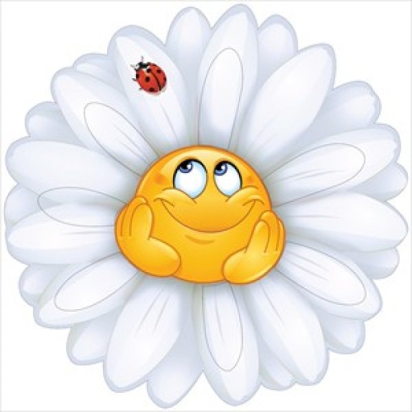 Ромашка смайлик