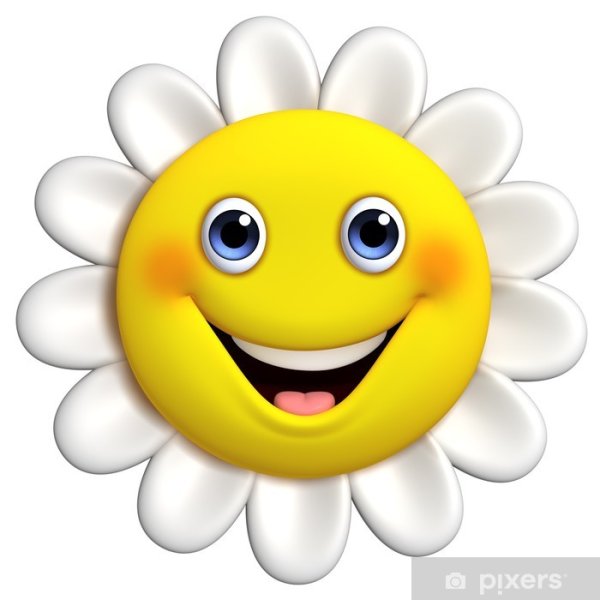 Смайл Ромашка