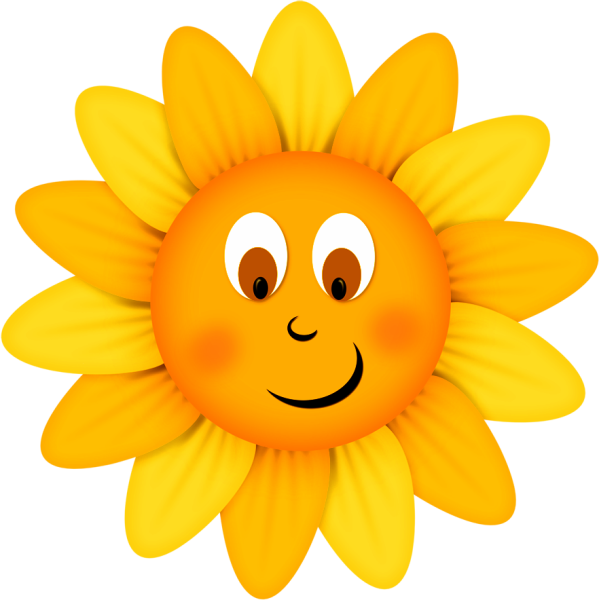 Ромашка смайлик