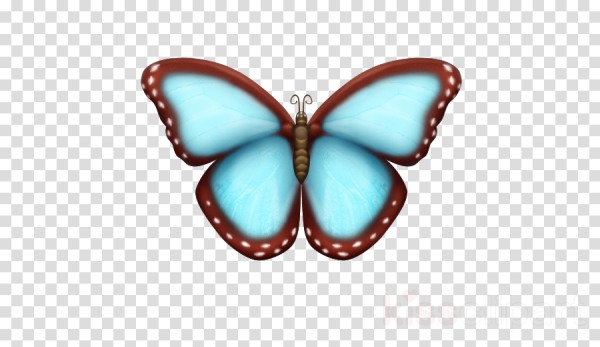 Бабочка смайлик айфон