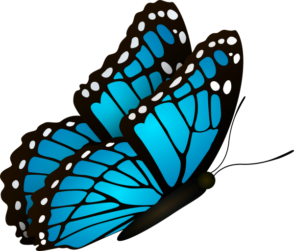 Бабочка без фона