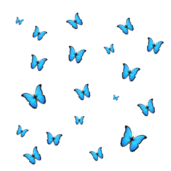 Бабочки разлетаются