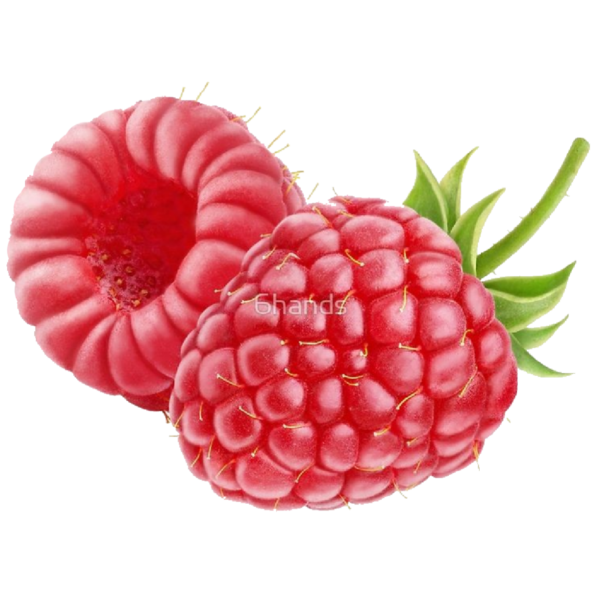 Малина в разрезе