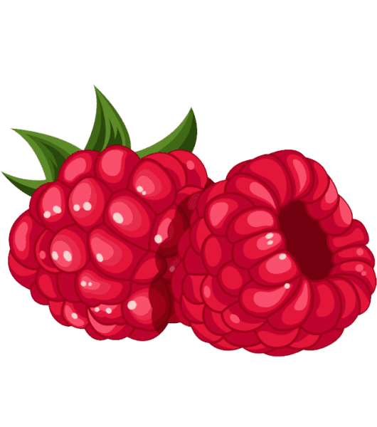 Малина нарисованная