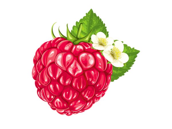 Карточка малина