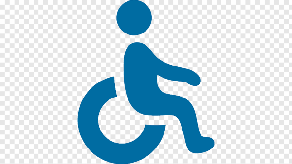 Коляска инвалидная Emoji