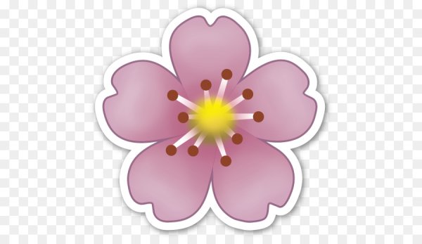 ЭМОДЖИ цветочек