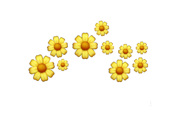 Стикер цветочек на прозрачном фоне