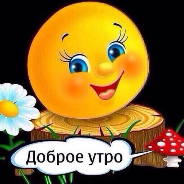 Мордочка колобка