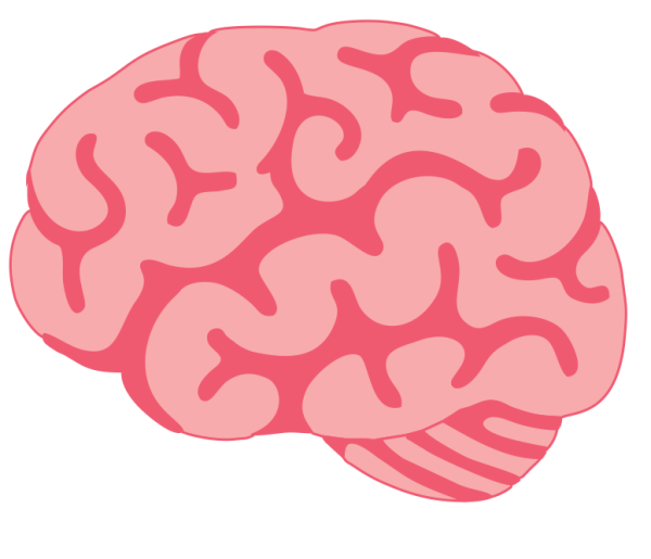 Мозги без фона