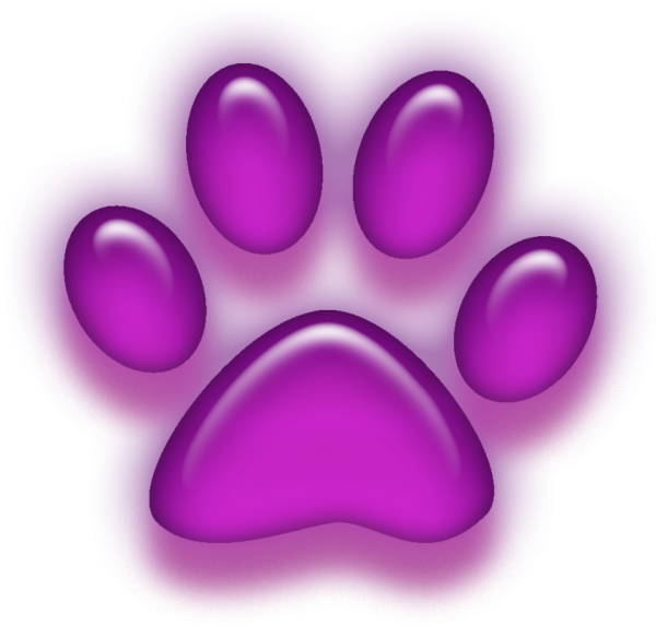 Фиолетовая лапка кошки