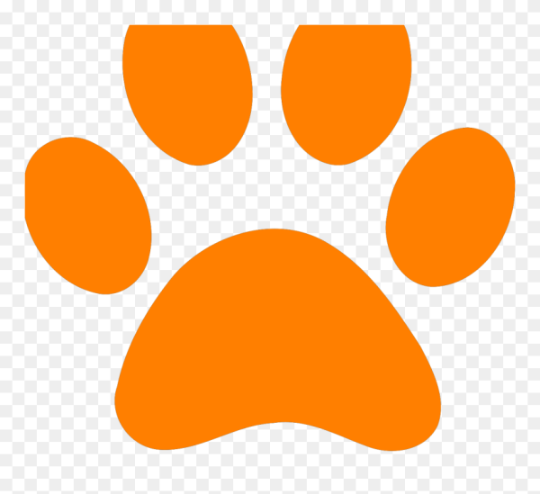 Кошачьи следы на прозрачном фоне