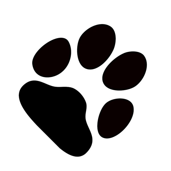 Отпечаток лапы на прозрачном фоне