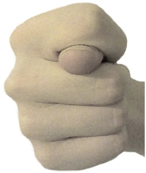 Кукиш Дуля фига шиш