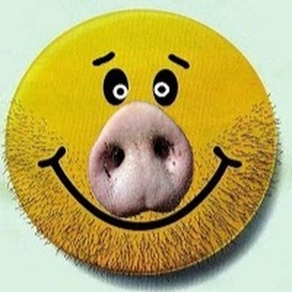 Смайлики из дурака онлайн