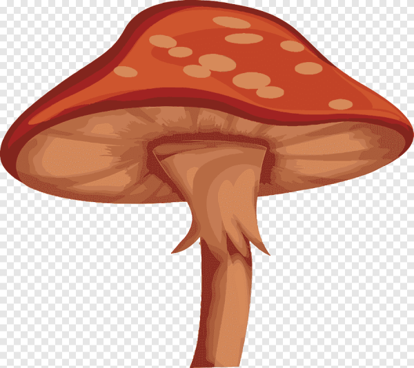 Смайлик мухомор