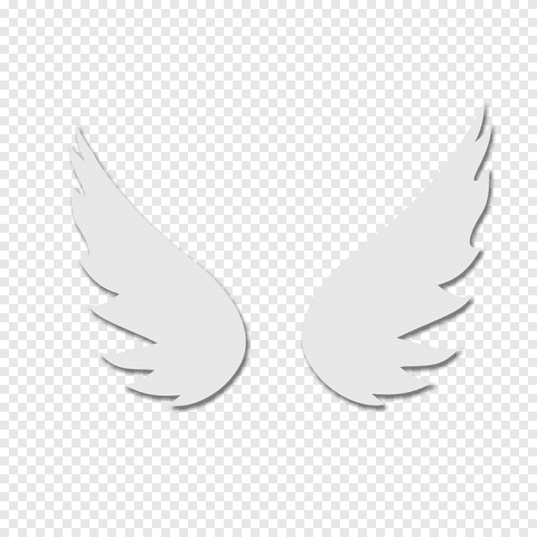 Маленькие Крылья