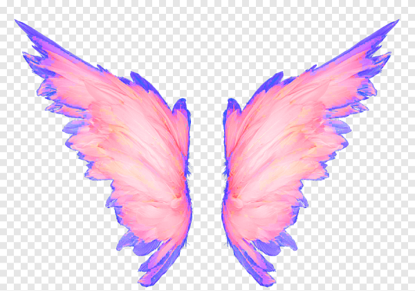 Розовые ангельские Крылья